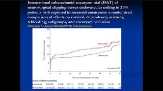 Subarachnoid Hemorrhage Treatment amp Recovery  Louises Patient Story [upl. by Ati]