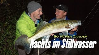 So ticken Zander Nachts im Stillwasser [upl. by Aitsirhc]