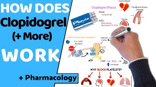 How Does Clopidogrel Antiplatelets Work  Pharmacology [upl. by Teerpnam]