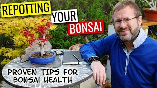 PRO TIPS for healthy repotting  How to repot a bonsai tree  part 3 [upl. by Goldie]