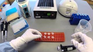 DNA Extraction Protocol  Part 1 [upl. by Spillihp427]