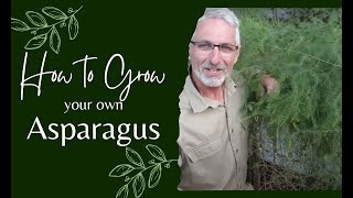 How to Grow Asparagus [upl. by Shaner]