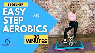 30 Minute Beginners Step Workout  Simple Instruction  128 bpm  93 [upl. by Hras]