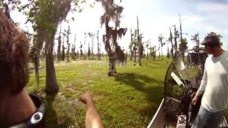 Nutria Hunting in Louisiana swamp [upl. by Riordan]