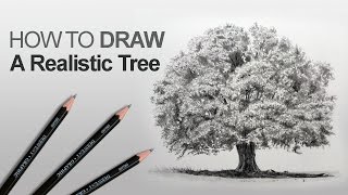 How to Draw a Tree Realistic [upl. by Araed]