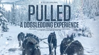 Pulled  A Dog Sledding Experience [upl. by Anilyx]