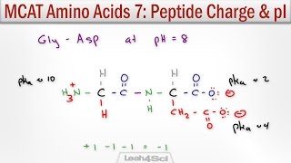 How to Calculate Peptide Charge and Isoelectric Point MCAT Trick [upl. by Iadrahs354]