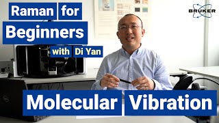 Molecular Vibration  Raman for Beginners  Ground State and Excitation [upl. by Eadnus]