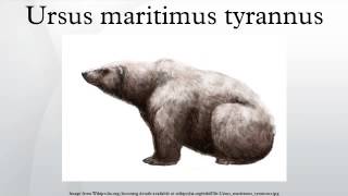 Ursus maritimus tyrannus [upl. by Kathye]