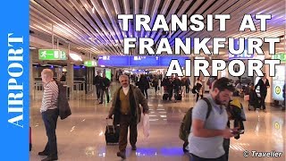 TRANSIT WALK AT FRANKFURT Airport FRA Terminal 1  Connection Flight Transfer Arriving amp Departing [upl. by Puritan]