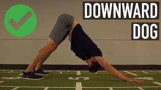 Downward Dog  Do It Right With Progressions [upl. by Georgiana]