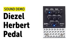 Diezel Herbert Pedal sound demo no talking [upl. by Pall]