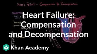 Compensation and decompensation in heart failure  NCLEXRN  Khan Academy [upl. by Attenwahs]