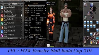 🎮INT  POW Brawler Skill Build  Cap 210  RAN Online [upl. by Ancier]