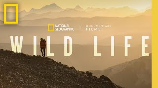 Wild Life  Official Trailer  National Geographic [upl. by Eiryt]