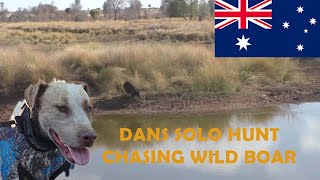 Pig Hunting Australia Dans solo run hunting wild boar [upl. by Chelsie]