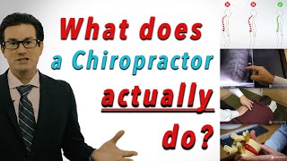 What Does a Chiropractor ACTUALLY Do [upl. by Shabbir]