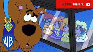 ScoobyDoo  The Hamster Incorporated  WB Kids [upl. by Anirok]