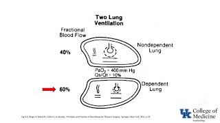 Respiratory Physiology Ventilation Perfusion Ratios  Dr Bowe [upl. by Avla]