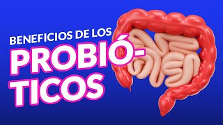 Los beneficios de los Probióticos [upl. by Eerak]