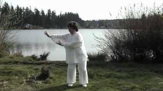 Taiji Qigong 18 [upl. by Nezah]