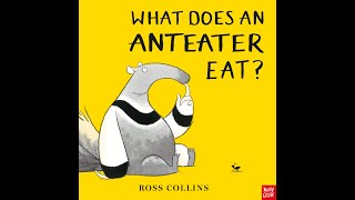 What Does An Anteater Eat [upl. by Acemaj]