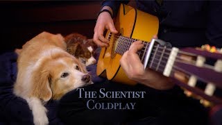 The Scientist  Coldplay Fingerstyle Guitar [upl. by Shandee]