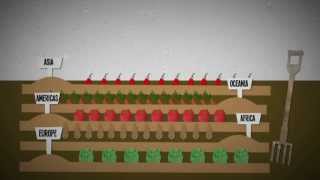 What is food insecurity An explanation [upl. by Galligan]