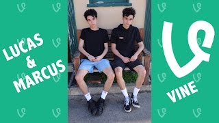 Lucas and Marcus NEW Vines 2016  Vine Compilation [upl. by Amund]