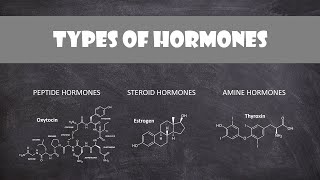 Types of Hormones  Human Physiology [upl. by Cora]