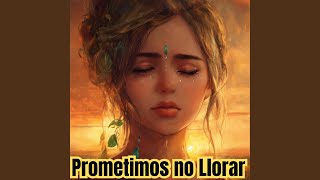 Prometimos No Llorar [upl. by Endo]