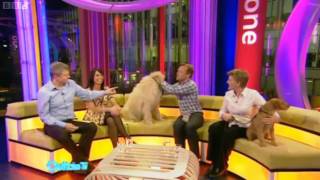 BBC Bloopers  Outtake TV  9042010 [upl. by Pavyer]